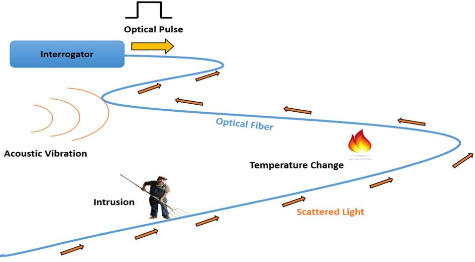 Distributed Fiber Sensing