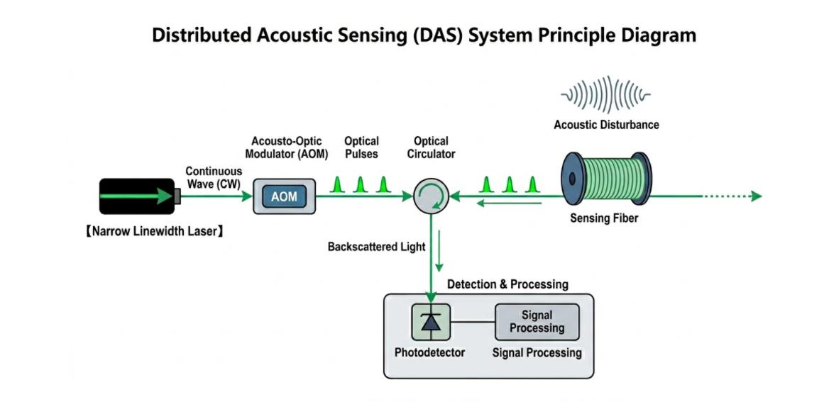 Distributed Acoustic Sensing